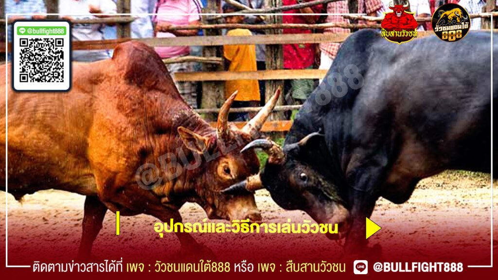 อุปกรณ์และวิธีการเล่นวัวชน