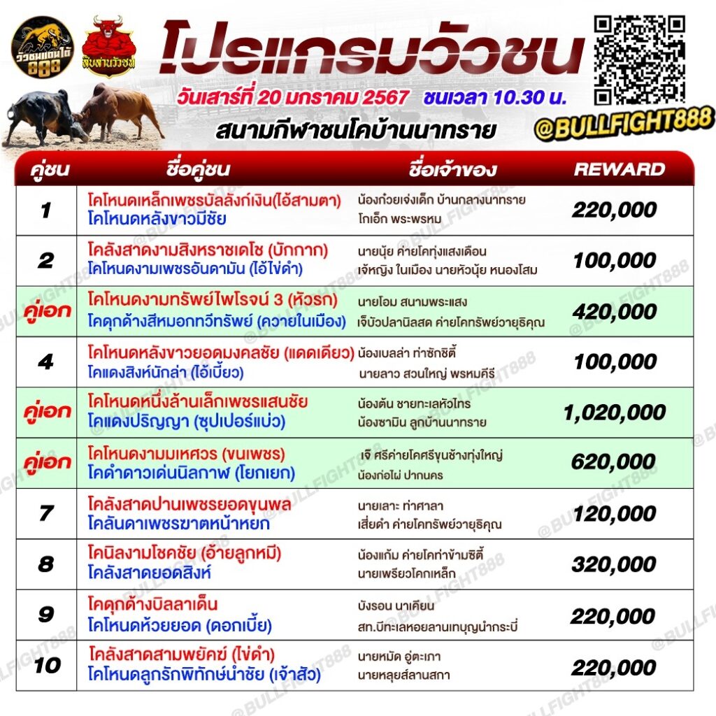 โปรแกรมวัวชน สนามกีฬาชนโคบ้านนาทราย วันที่ 20 ม.ค. 67