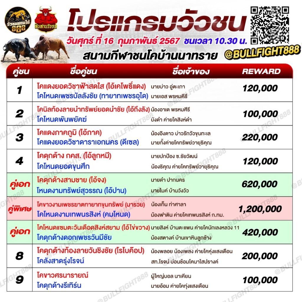 โปรแกรมวัวชน สนามกีฬาชนโคบ้านนาทราย วันที่ 16 ก.พ. 67