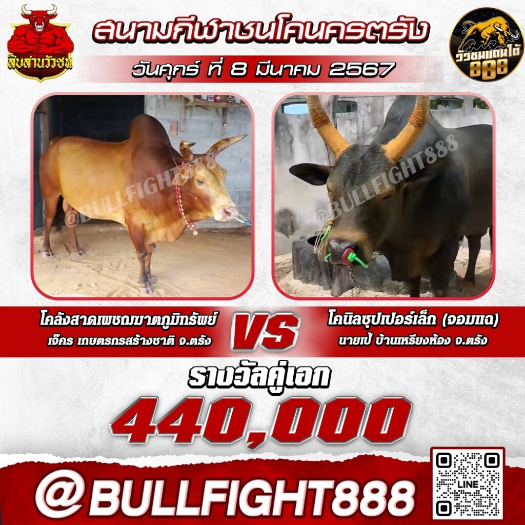 โปรแกรมวัวชน สนามกีฬาชนโคนครตรัง วันที่ 08 มี.ค. 67