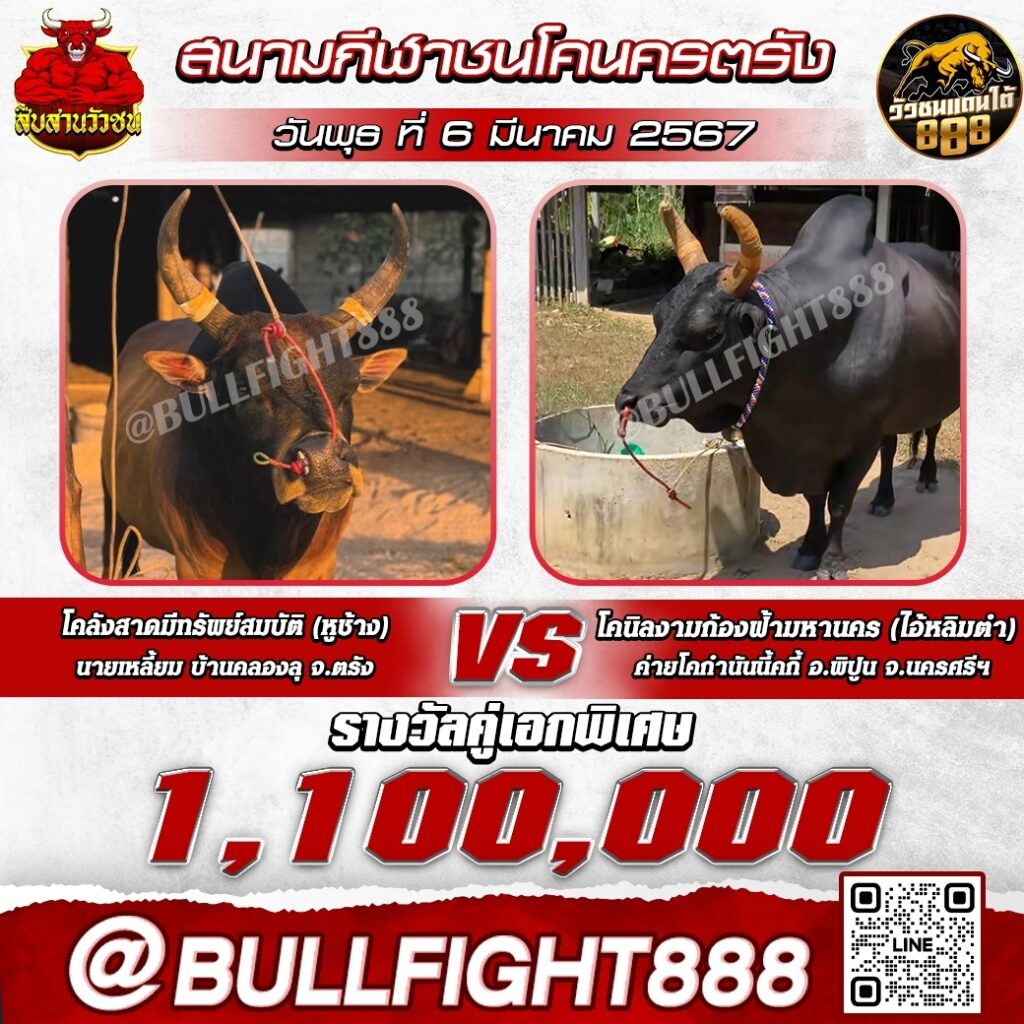 โปรแกรมวัวชน สนามกีฬาชนโคนครตรัง วันที่ 06 มี.ค. 67