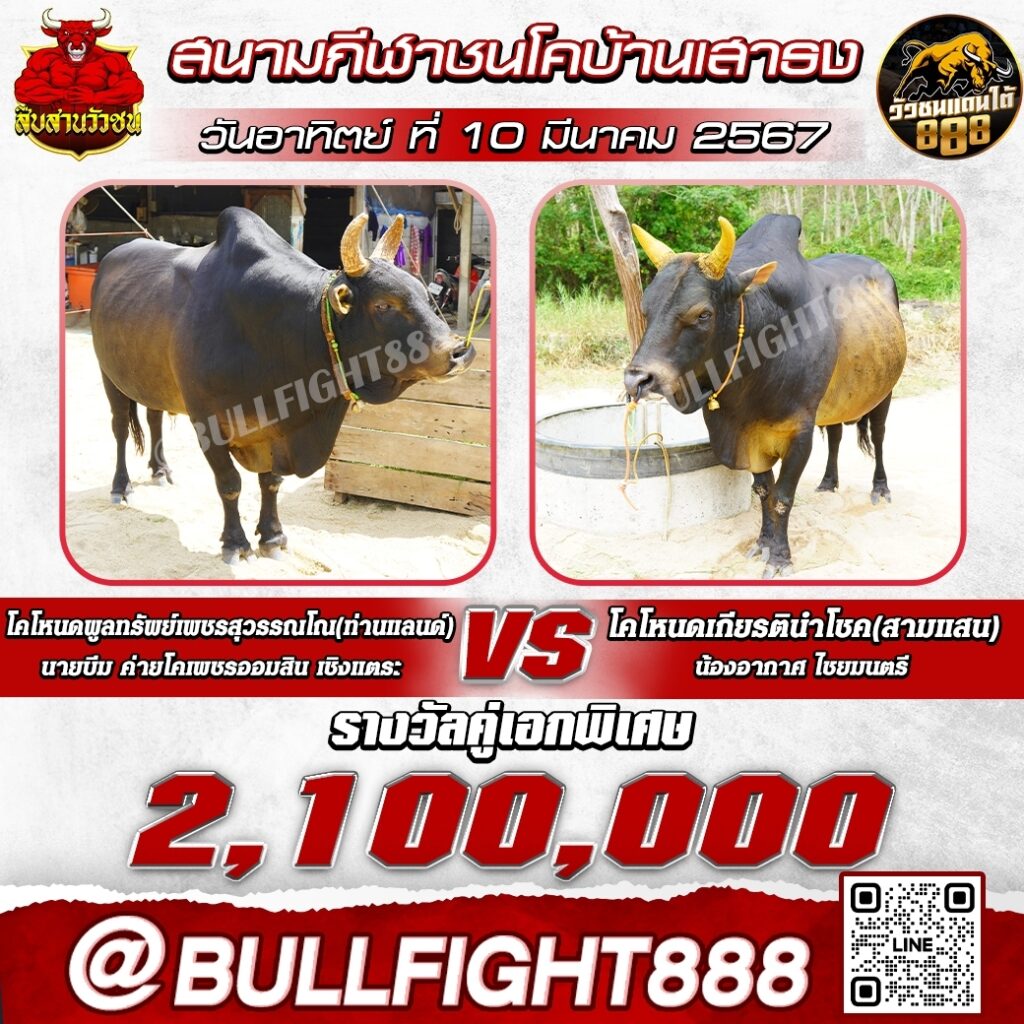 โปรแกรมวัวชน  สนามกีฬาชนโคบ้านเสาธงสเตเดี้ยม  วันที่ 10 มี.ค. 67