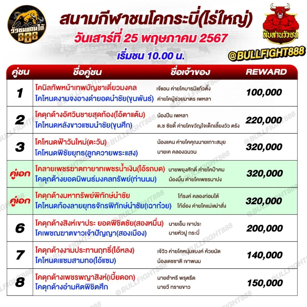 โปรแกรมวัวชน สนามกีฬาชนโคกระบี่(ไร่ใหญ่) วันที่ 25 พ.ค. 67