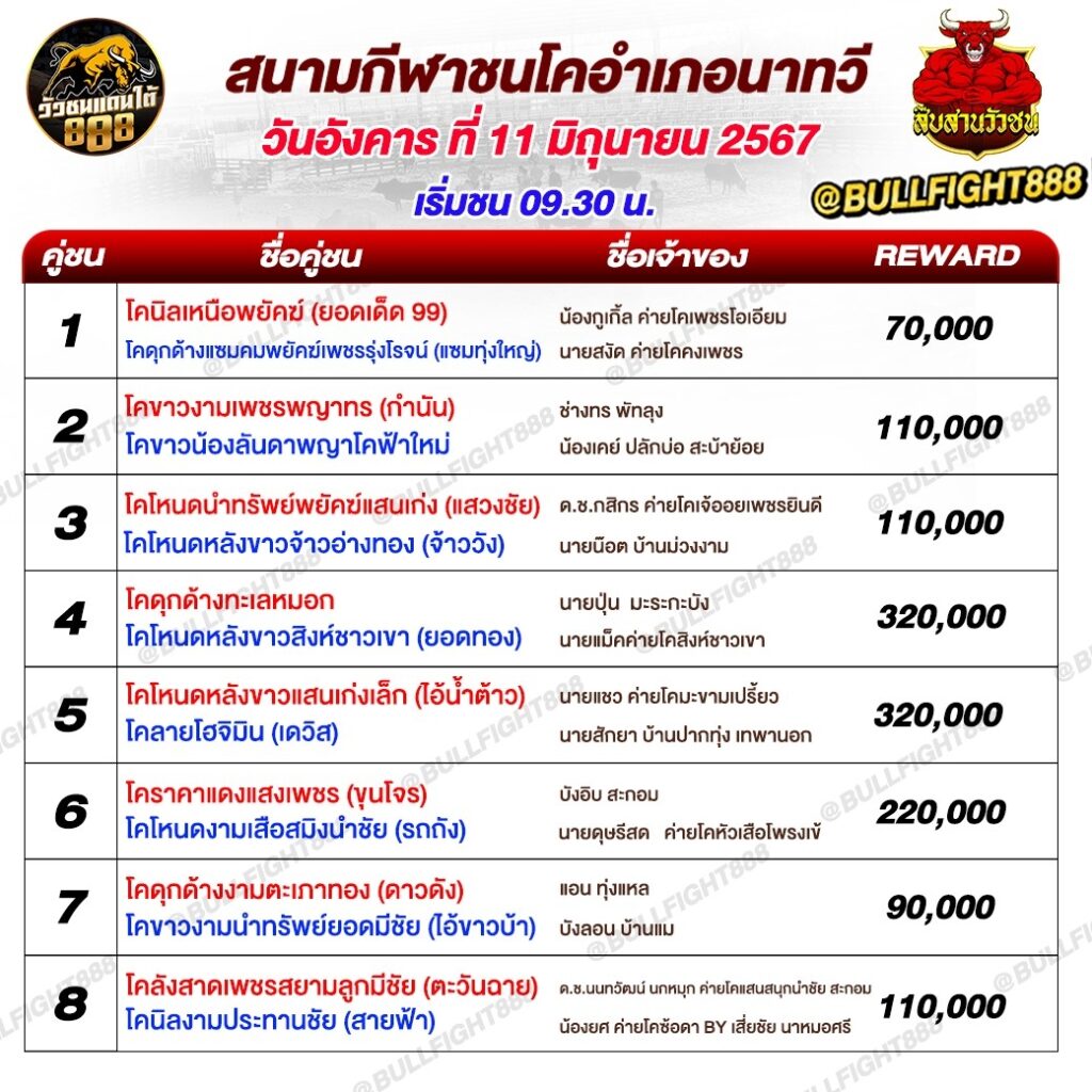 โปรแกรมวัวชน สนามกีฬาชนโคอำเภอนาทวี วันที่ 11 มิ.ย. 67