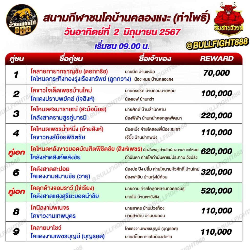 โปรแกรมวัวชน สนามกีฬาชนโคบ้านคลองแงะ(ท่าโพธิ์) วันที่ 2 มิ.ย. 67