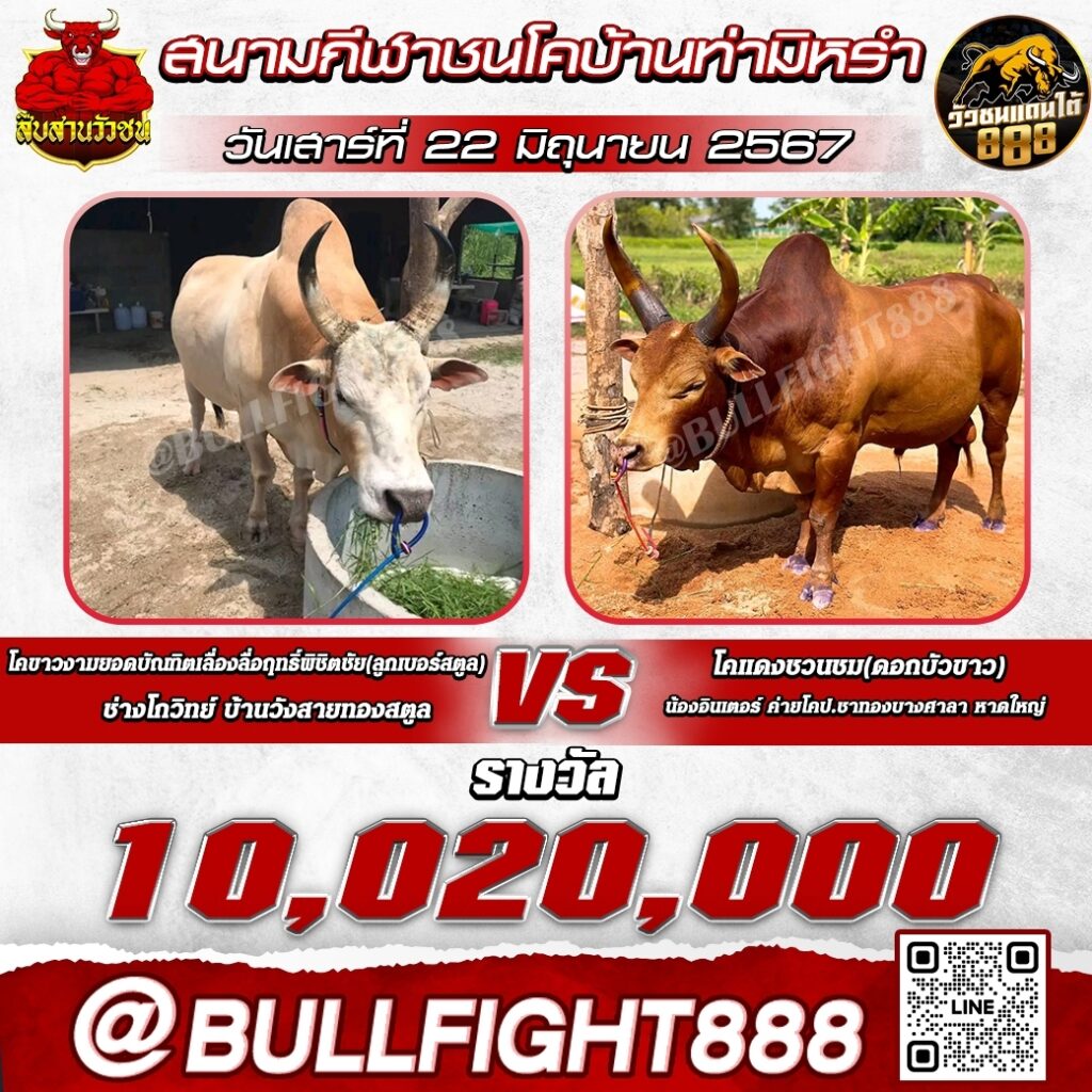 โปรแกรมวัวชน สนามกีฬาชนโคบ้านท่ามิหรำ วันที่ 22 มิ.ย. 67