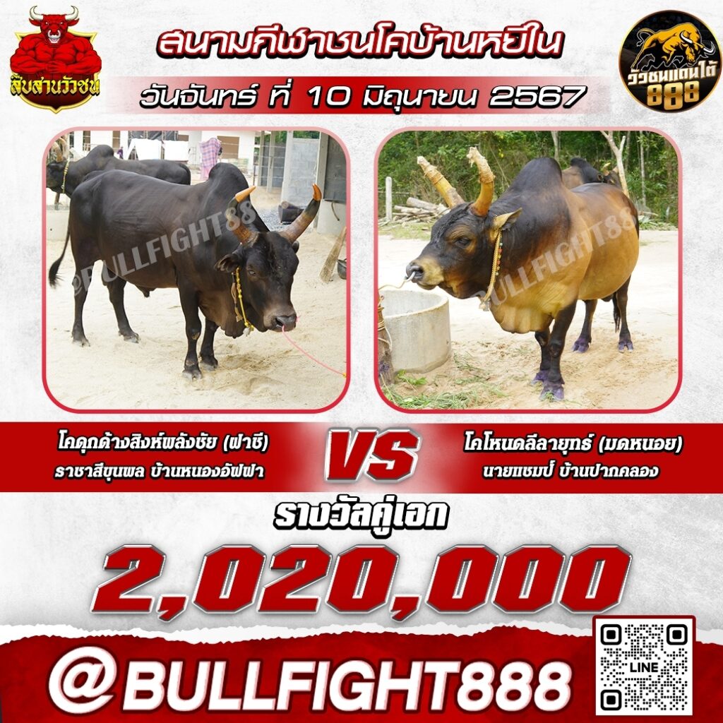 โปรแกรมวัวชน สนามกีฬาชนโคบ้านหยีใน วันที่ 10 มิ.ย. 67