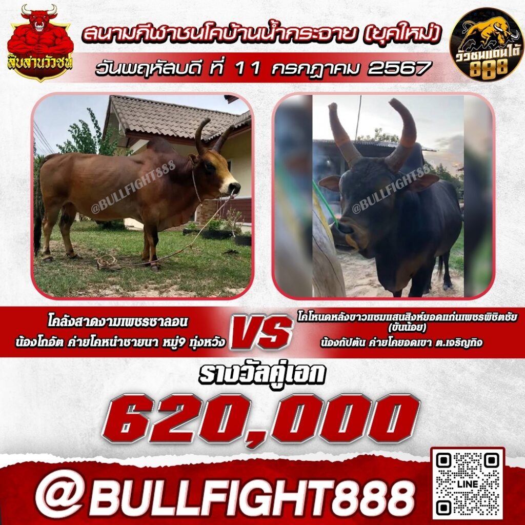 โปรแกรมวัวชน  สนามกีฬาชนโคบ้านน้ำกระจาย(ยุคใหม่) วันที่ 11 ก.ค. 67