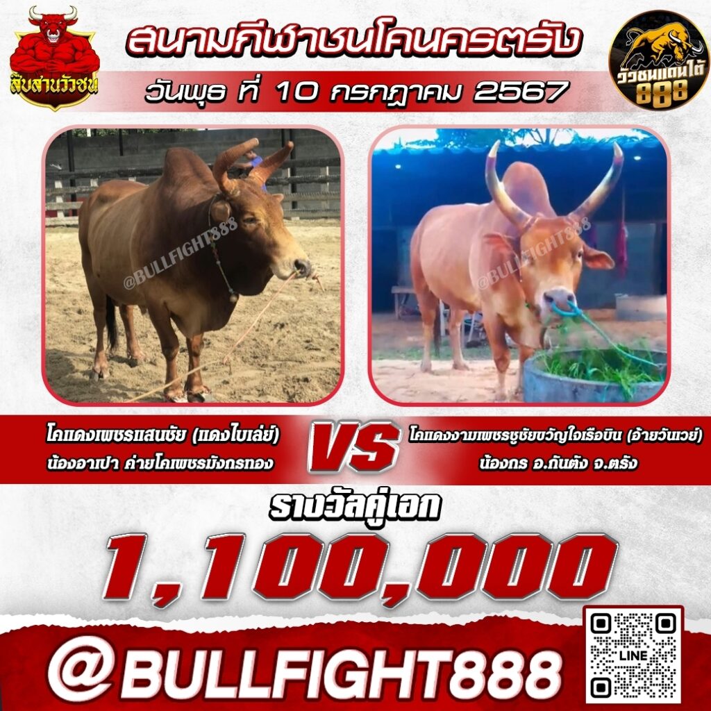 โปรแกรมวัวชน  สนามกีฬาชนโคนครตรัง วันที่ 10 ก.ค. 67