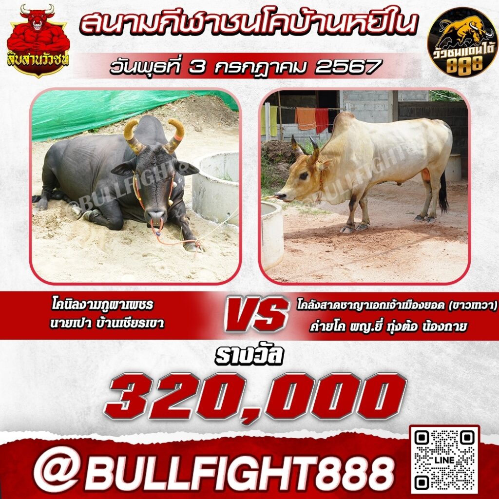 โปรแกรมวัวชน สนามกีฬาชนโคบ้านหยีใน วันที่ 03 ก.ค. 67