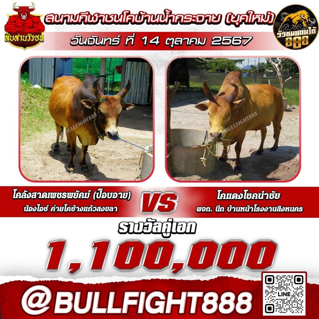 โปรแกรมวัวชน สนามกีฬาชนโคบ้านน้ำกระจาย (ยุคใหม่) วันที่ 14 ต.ค. 67