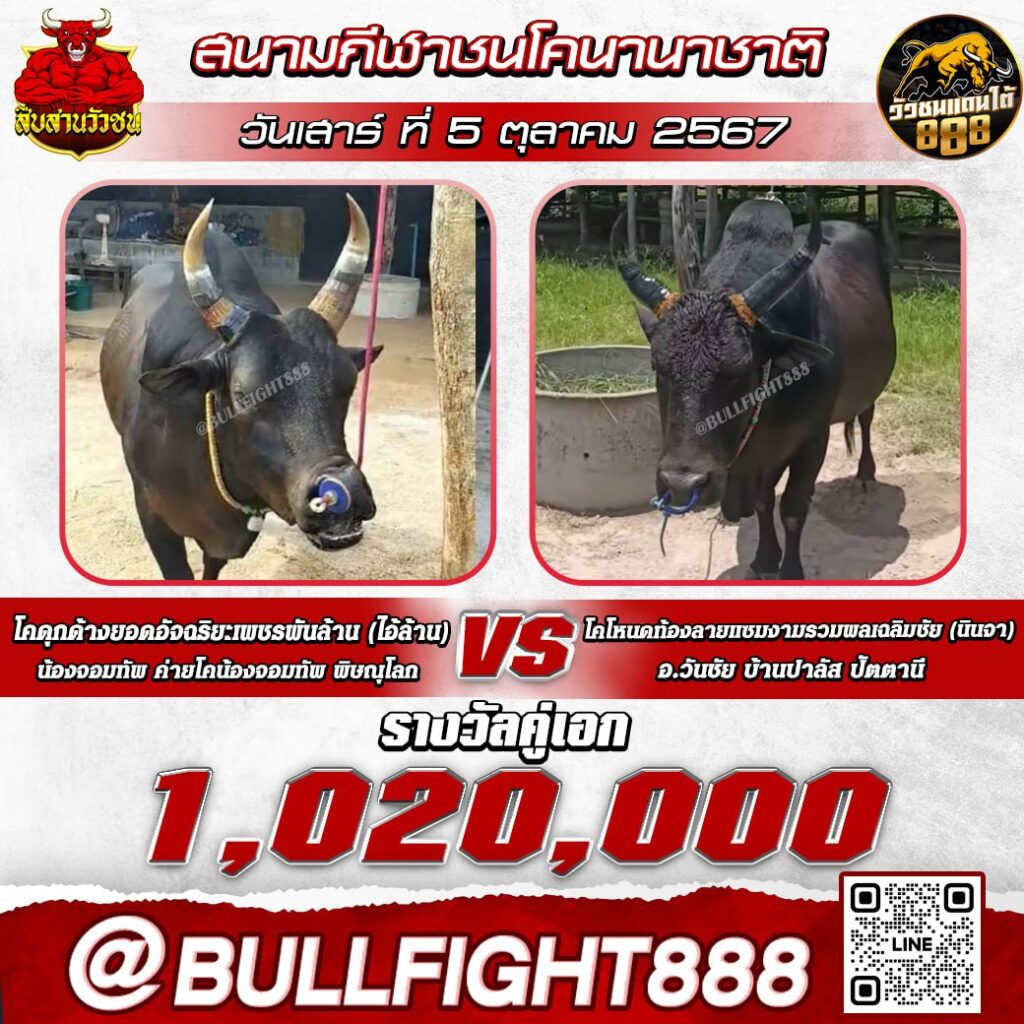 โปรแกรมวัวชน สนามกีฬาชนโคนานาชาติ วันที่ 5 ต.ค. 67